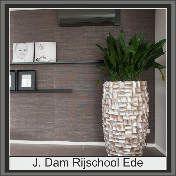 dam rijschool klikknop